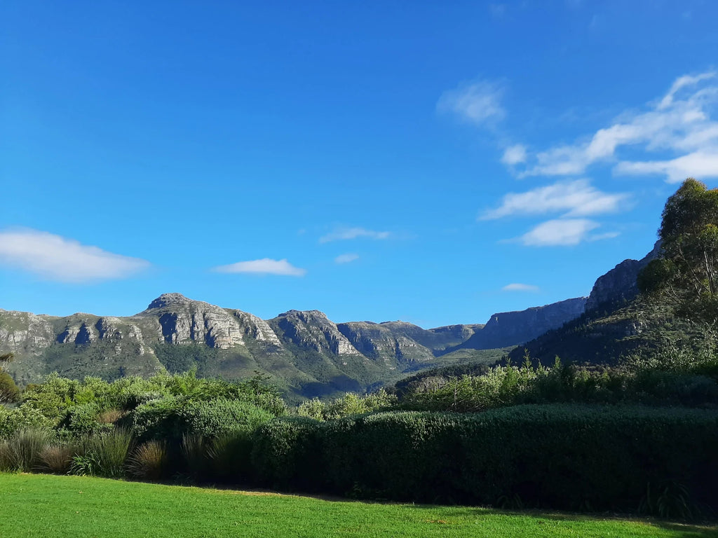 Cape Town Ziplines SA Forest Adventures, Cape Town South Africa