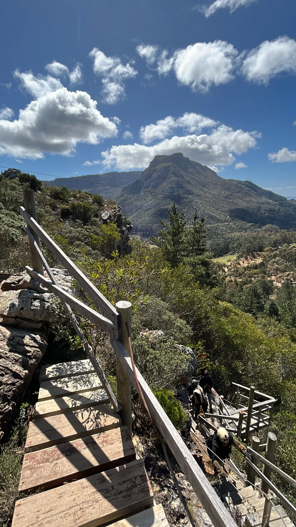 Cape Town Ziplines SA Forest Adventures, Cape Town South Africa