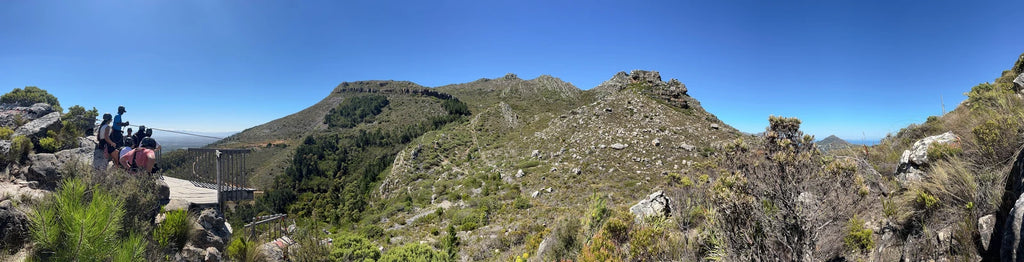 Cape Town Ziplines SA Forest Adventures, Cape Town South Africa