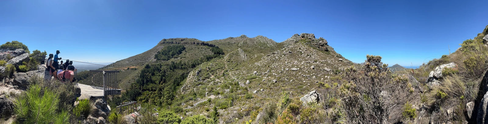 Cape Town Ziplines SA Forest Adventures, Cape Town South Africa