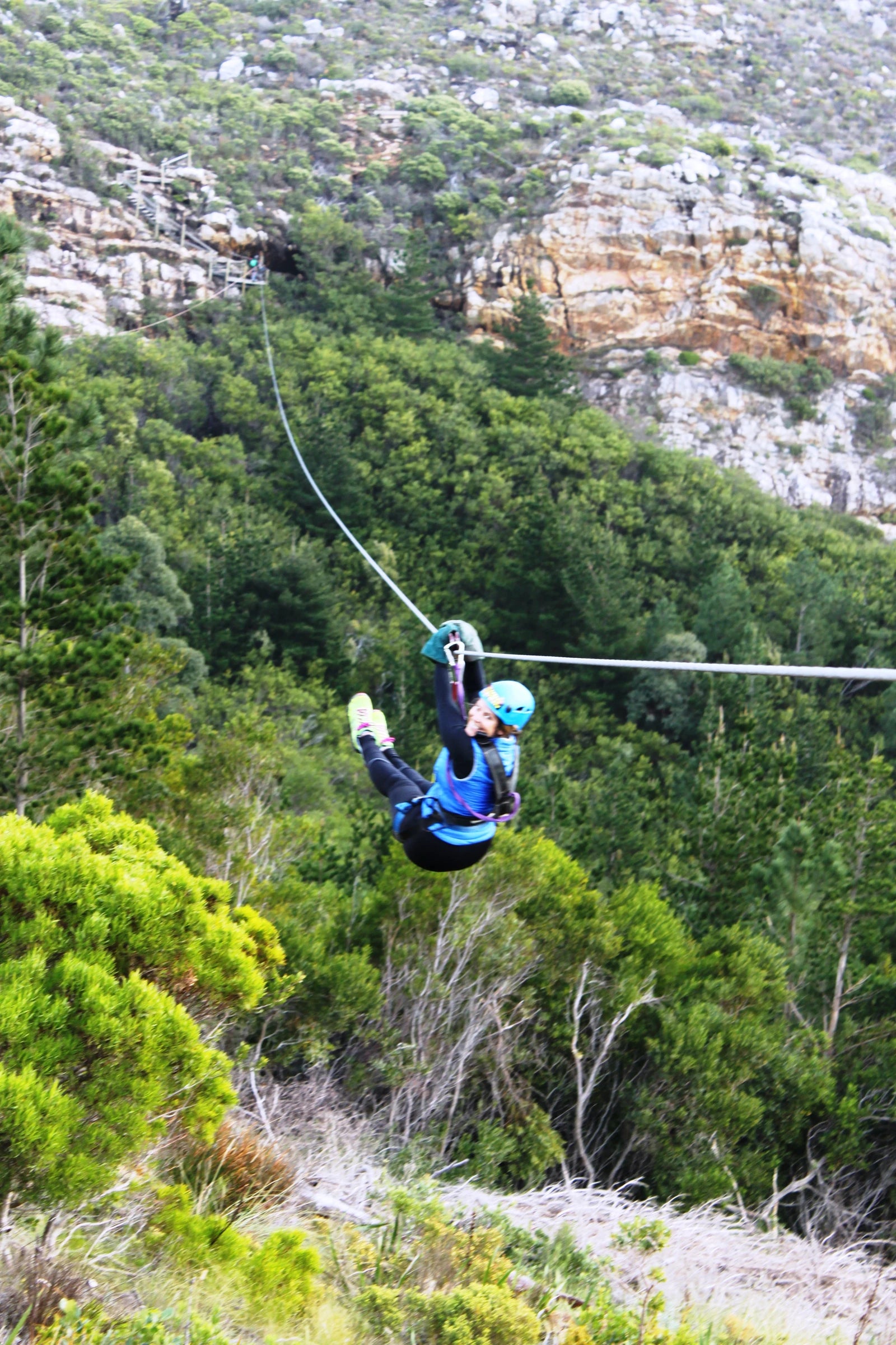 Cape Town Ziplines SA Forest Adventures, Cape Town South Africa