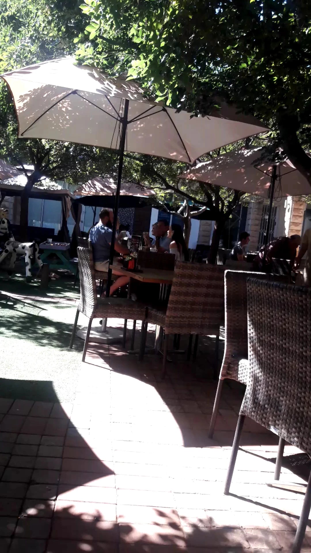 Caramello's Pretty Gardens., Bloemfontein South Africa