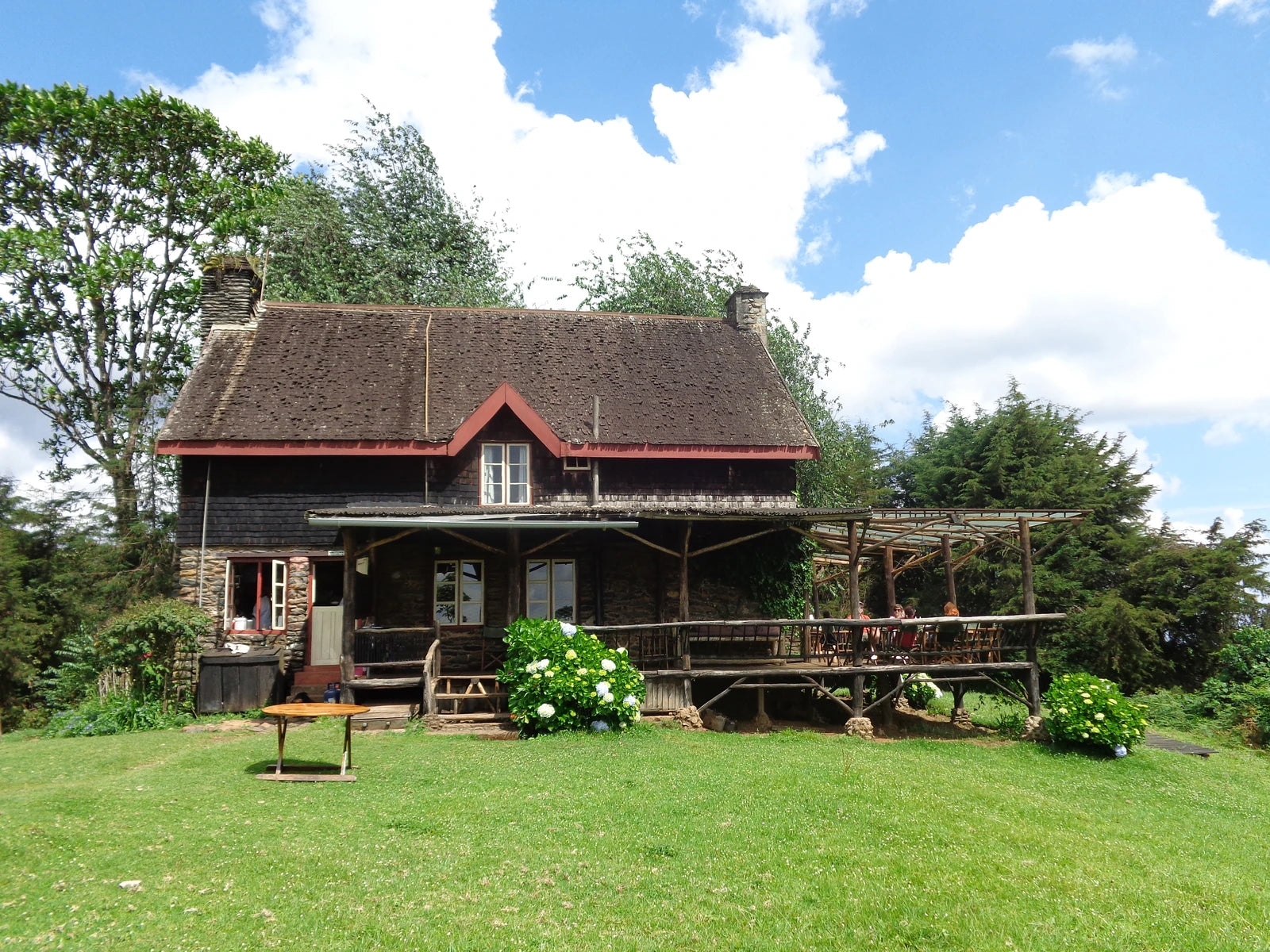 Castle Forest Lodge, 
Kimunye Kenya