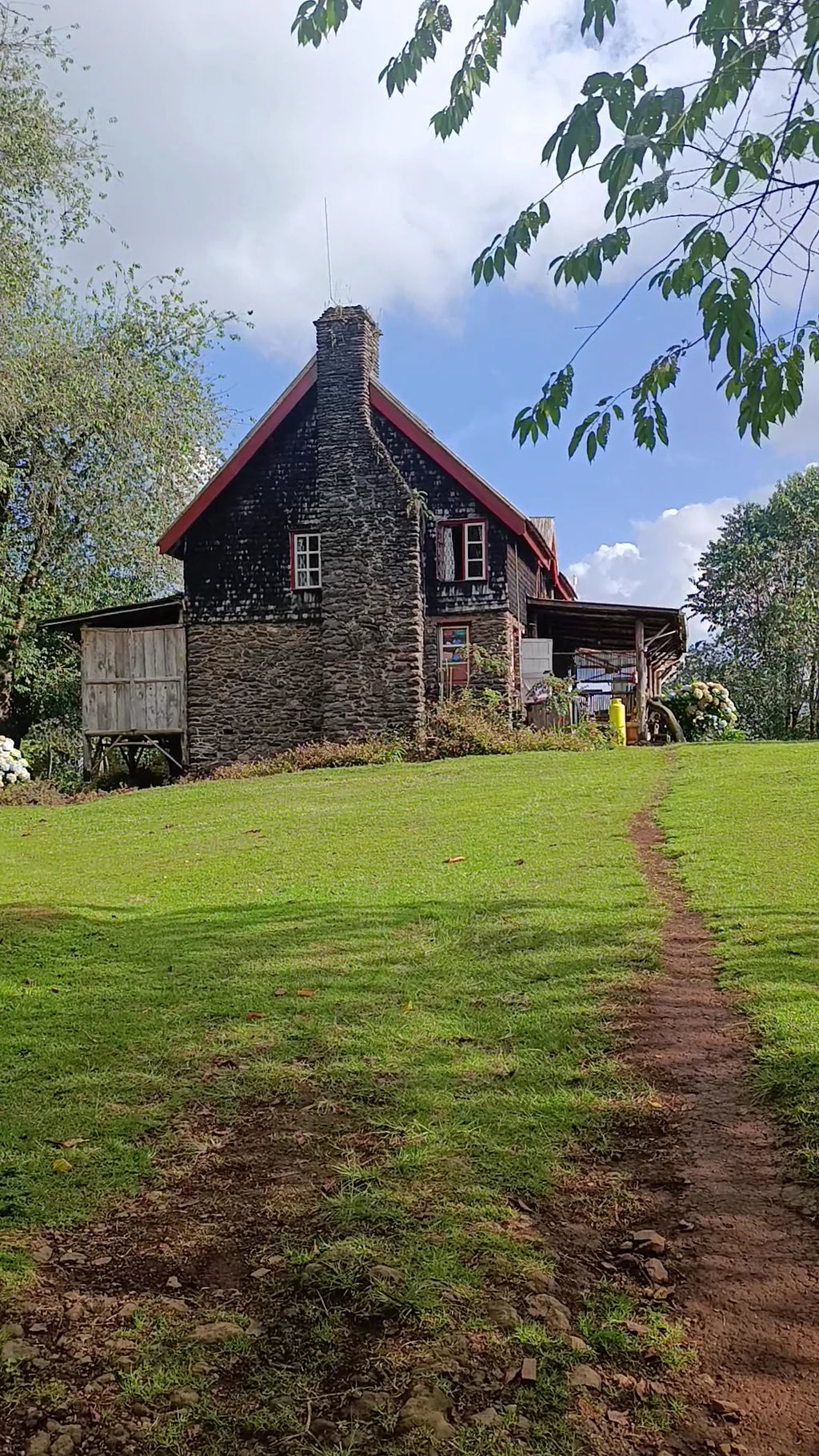 Castle Forest Lodge, 
Kimunye Kenya