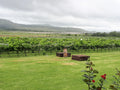 Cathedral Peak Wine Estate, Winterton South Africa