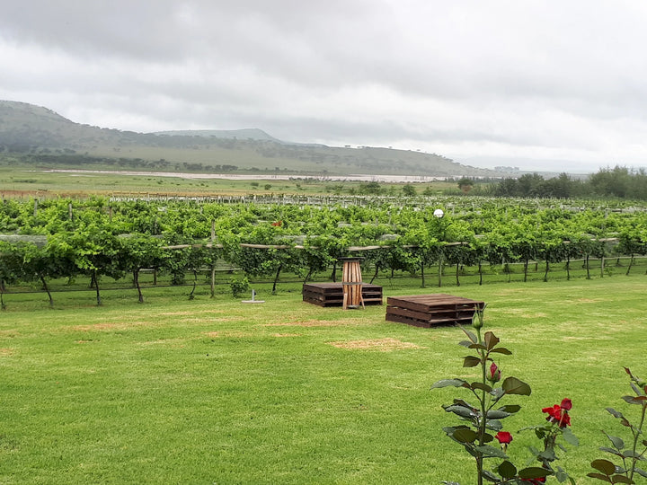 Cathedral Peak Wine Estate