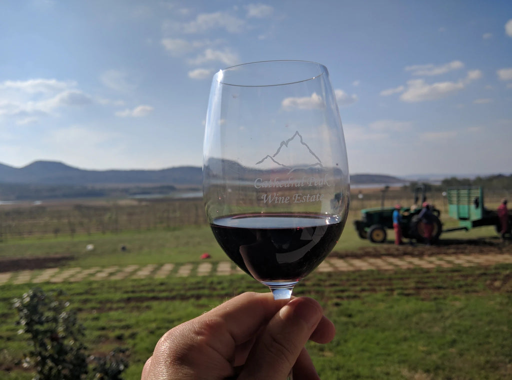 Cathedral Peak Wine Estate, Winterton South Africa