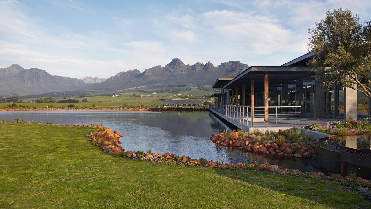 Cavalli Estate, Cape Town South Africa