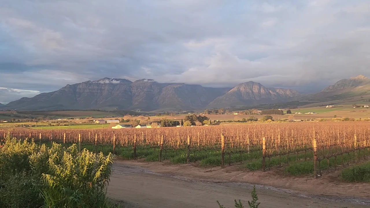 Cavalli Estate, Cape Town South Africa