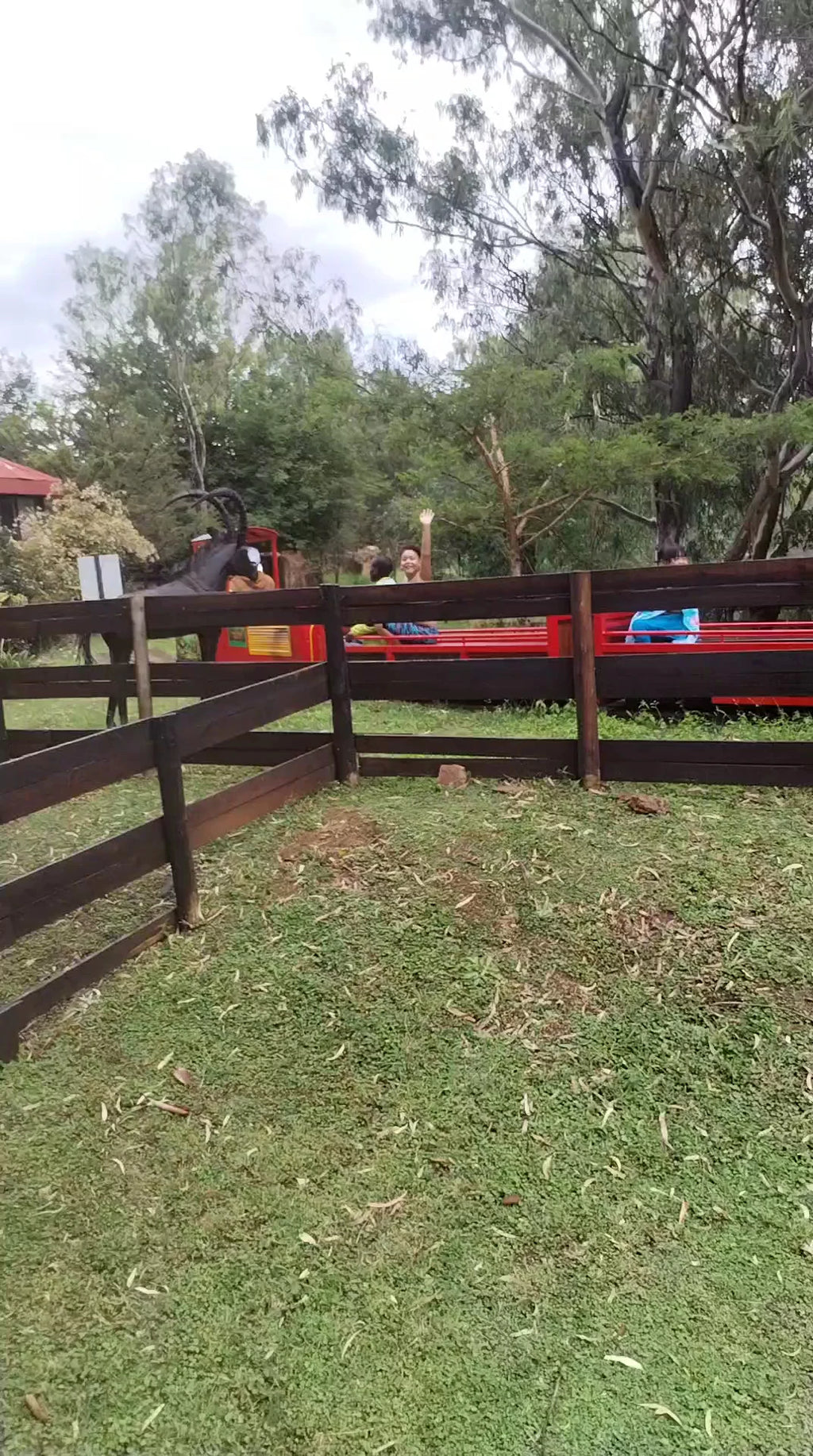 Cedar Junction Family Resort, Lynnwood South Africa
