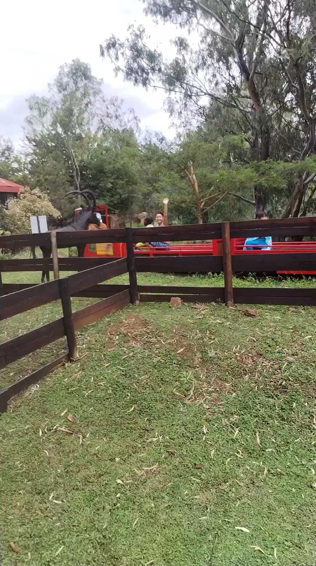 Cedar Junction Family Resort, Lynnwood South Africa