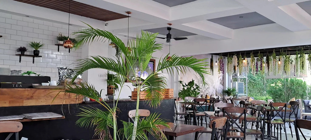 Central Park Cafe, Dar es Salaam Tanzania