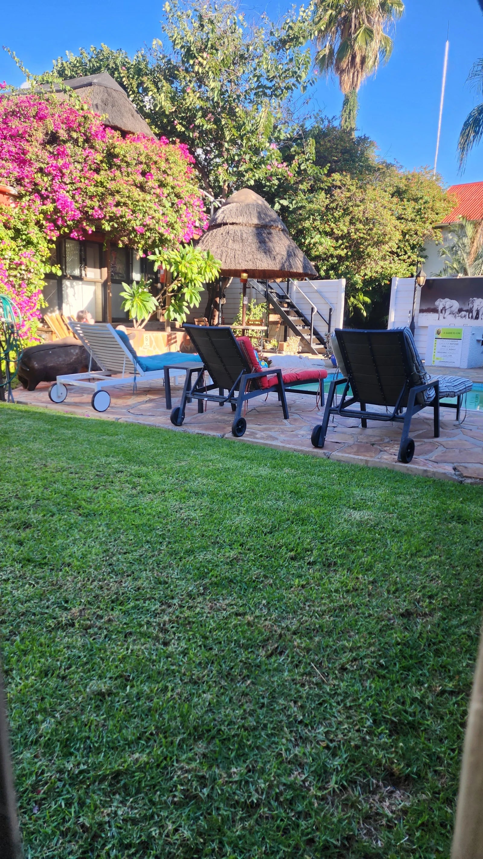 Chameleon Backpackers, Windhoek Namibia