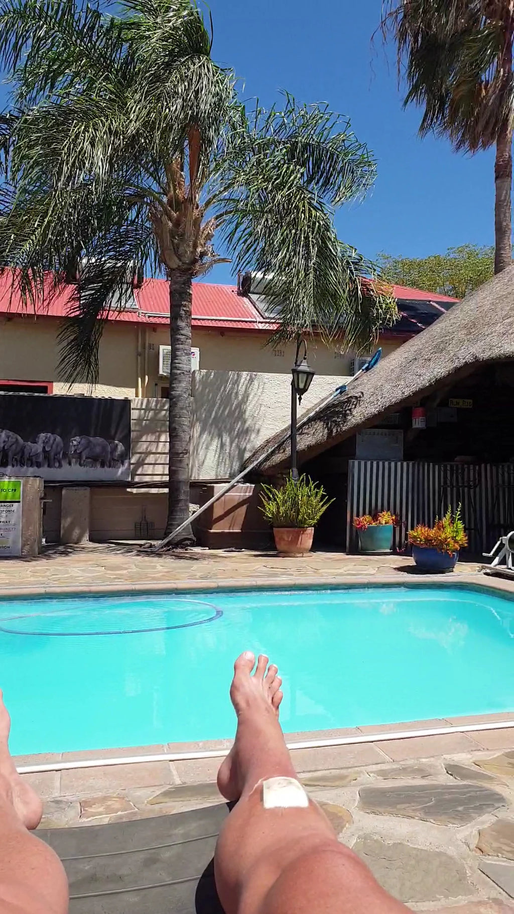 Chameleon Backpackers, Windhoek Namibia