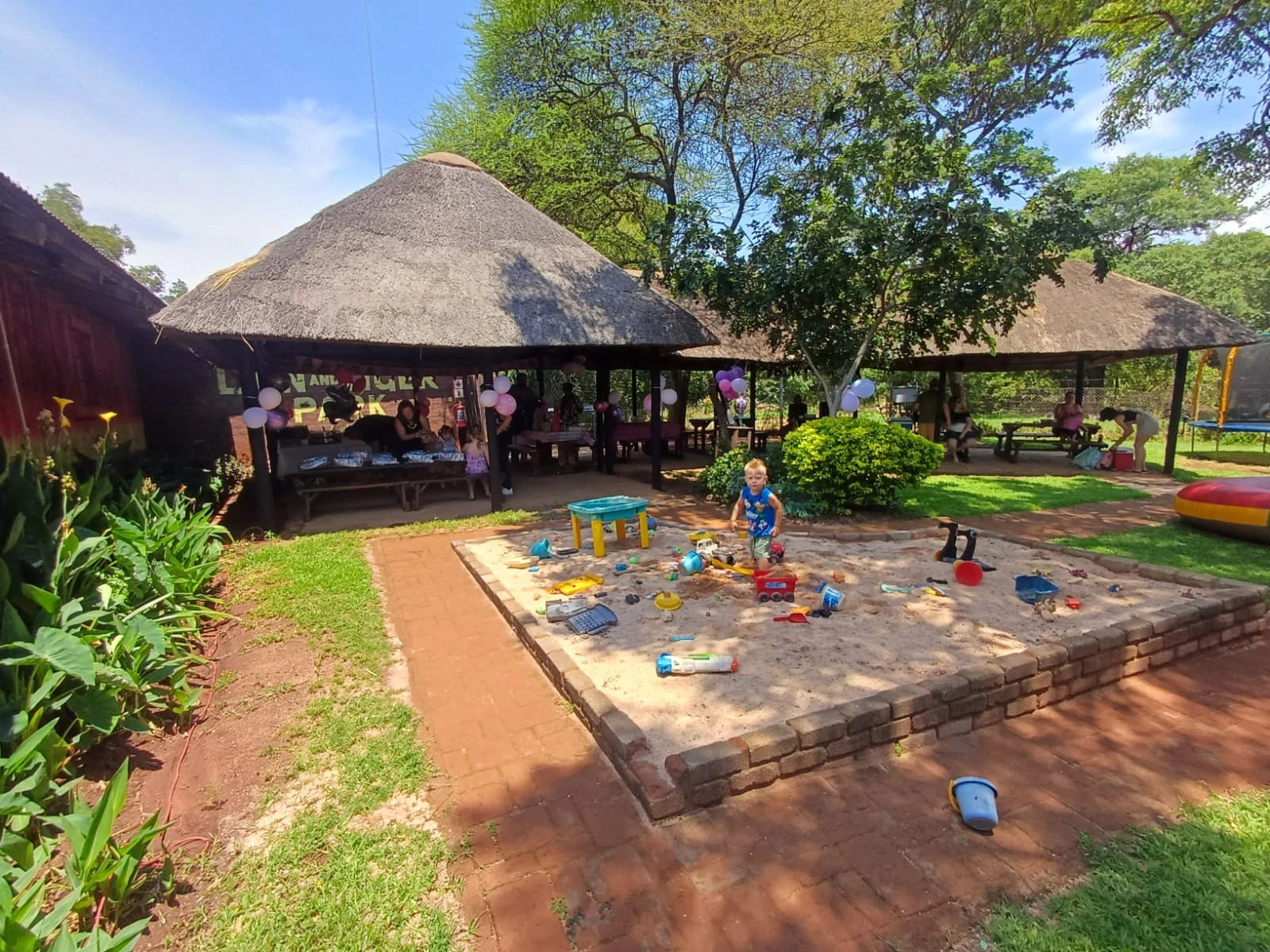 Chameleon Village Lion and Tiger park, Hartbeespoort South Africa