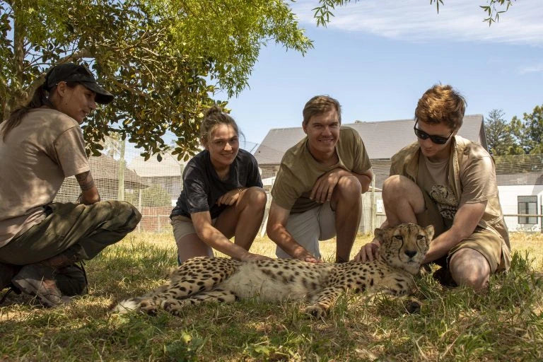 Cheetah Outreach, Helderberg South Africa