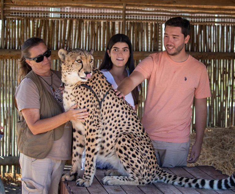 Cheetah Outreach, Helderberg South Africa