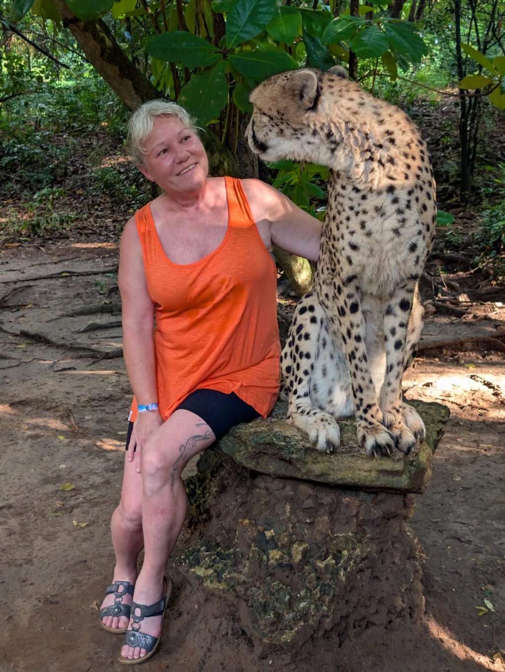 Cheetah's Rock, 
Cheetah's Rock Kama/ Zanzibar TZ Tanzania