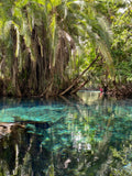 CHEMKA HOT SPRINGS (KIKULETWA HOT SPRINGS), Rundugai Tanzania