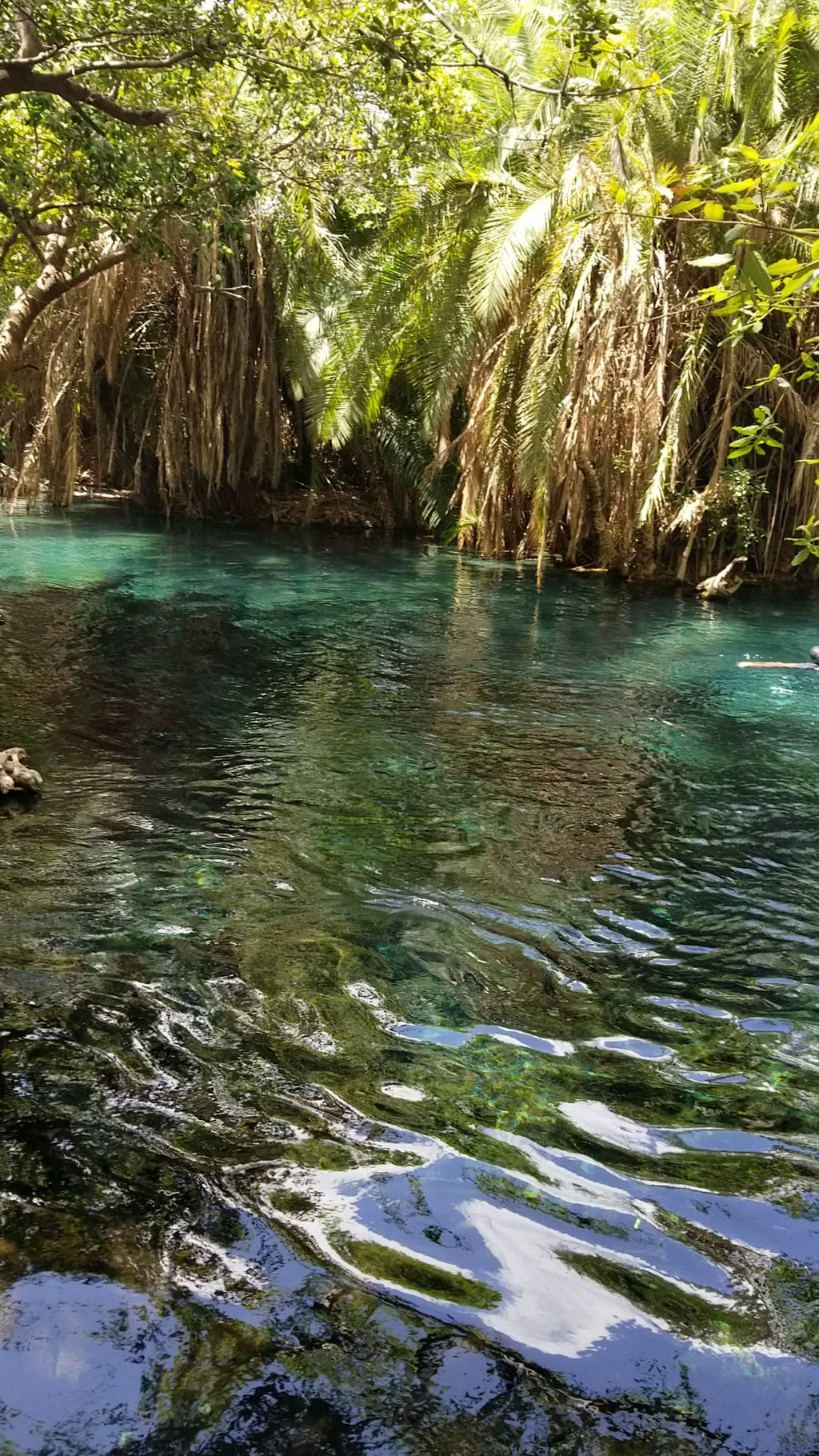 CHEMKA HOT SPRINGS (KIKULETWA HOT SPRINGS), Rundugai Tanzania