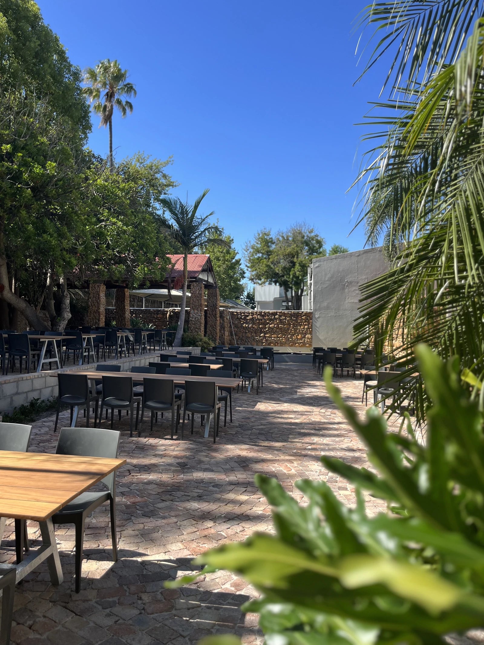 Clay Cafe Paarl | Pottery Café & Kid-Friendly Restaurant, Paarl South Africa