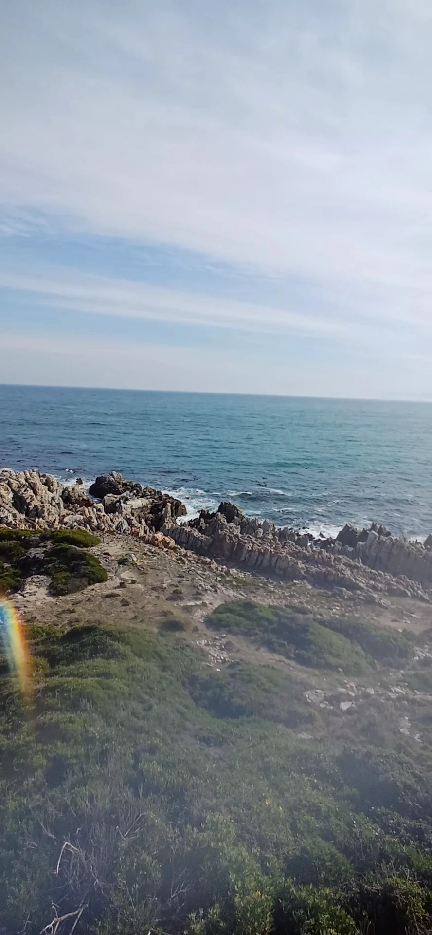 Coffee On The Rocks, Gansbaai South Africa