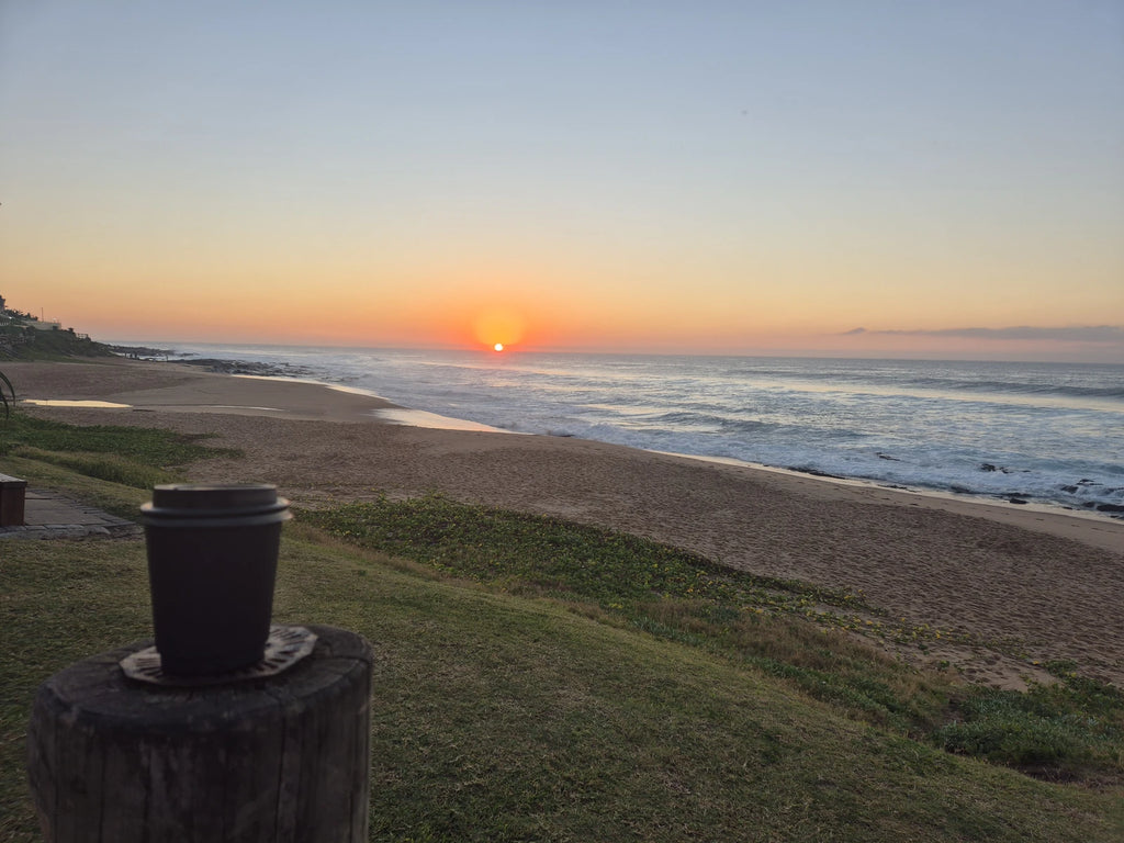 Concha, Durban South Africa