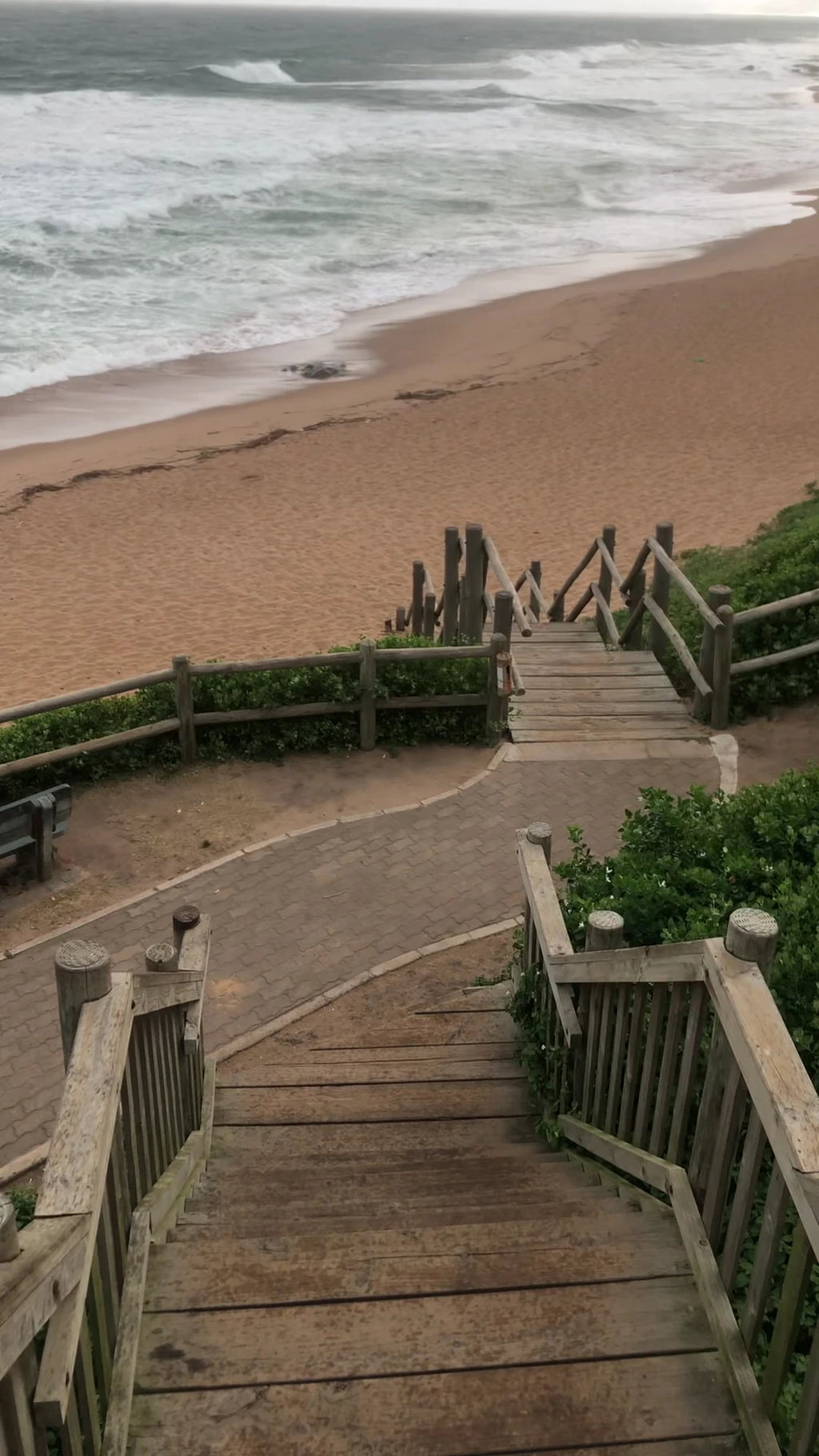 Concha, Durban South Africa