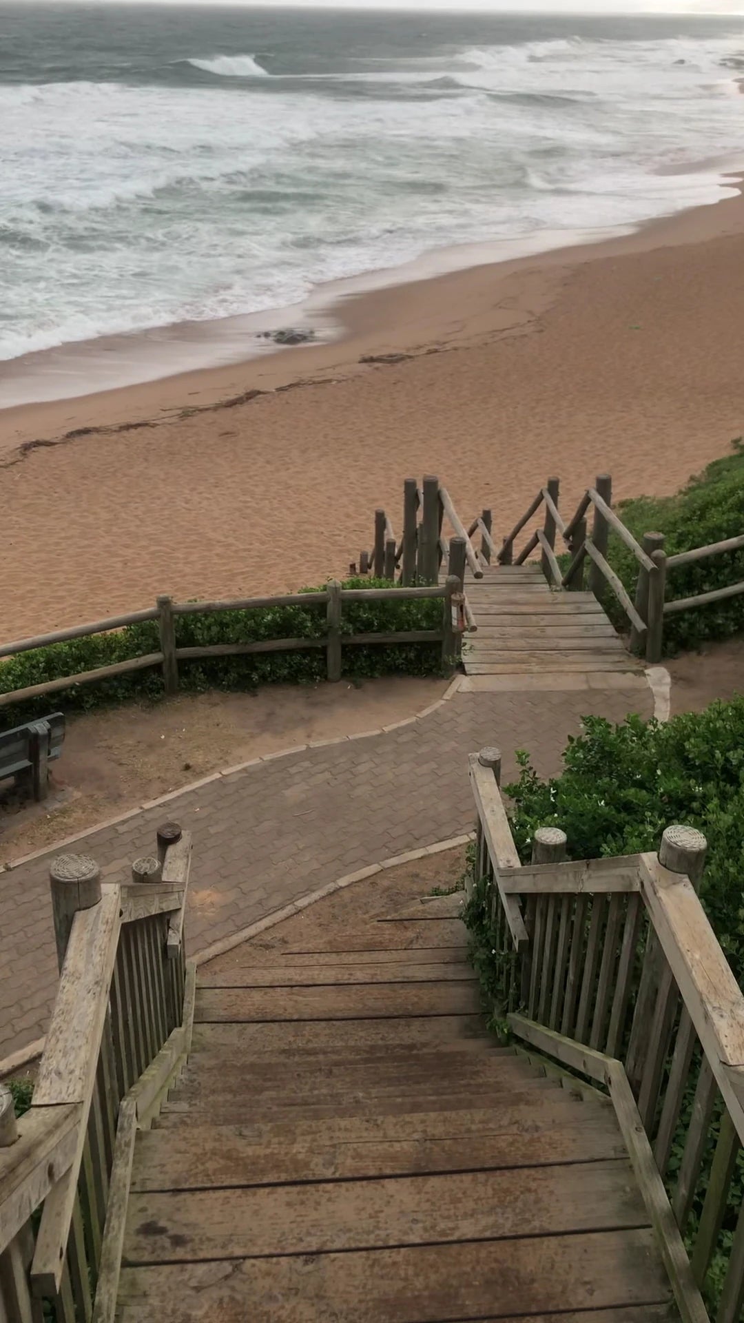 Concha, Durban South Africa