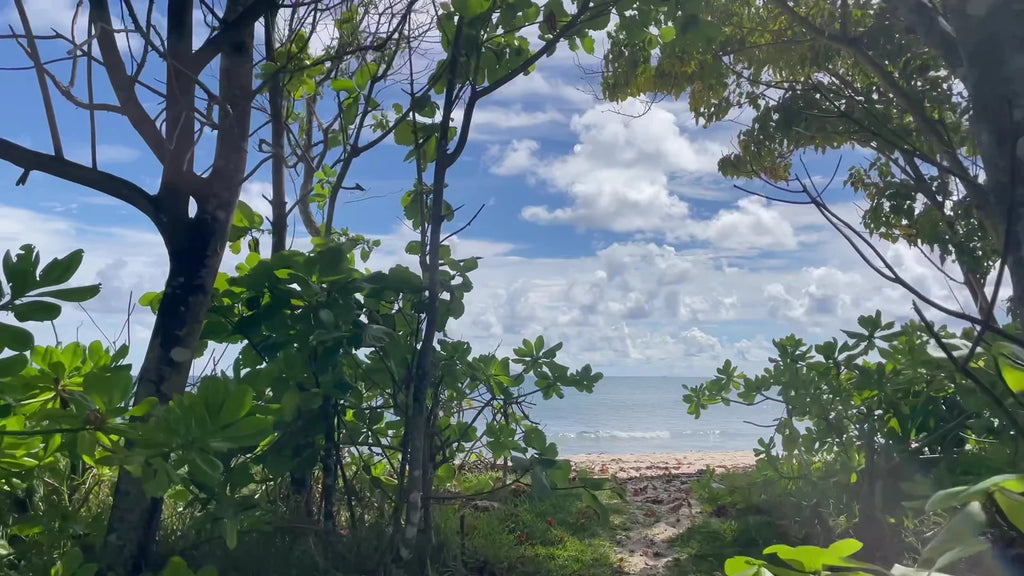 Constance Lemuria Praslin Seychelles, 
Anse Kerlan Praslin Seychelles Seychelles