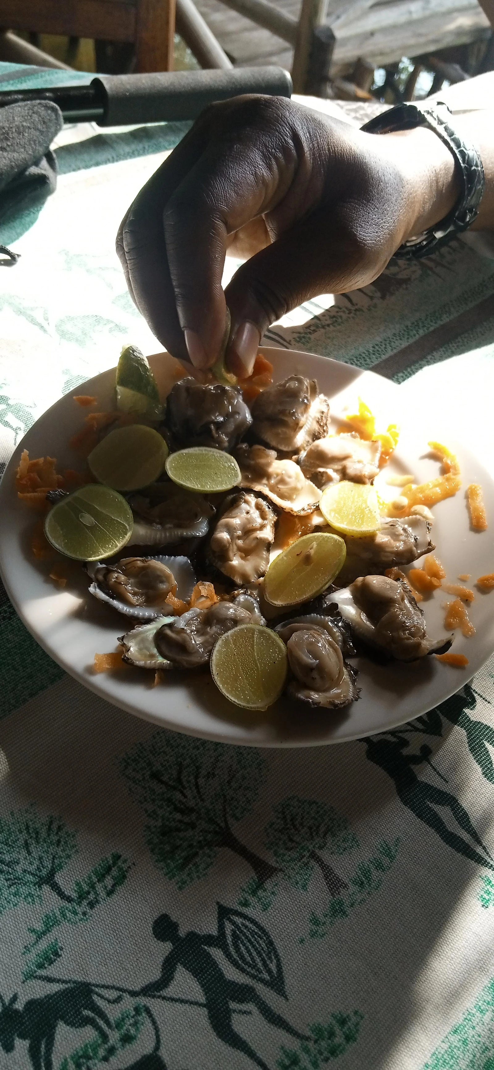 Crab Shack Dabaso, Mida Creek, Watamu Kenya