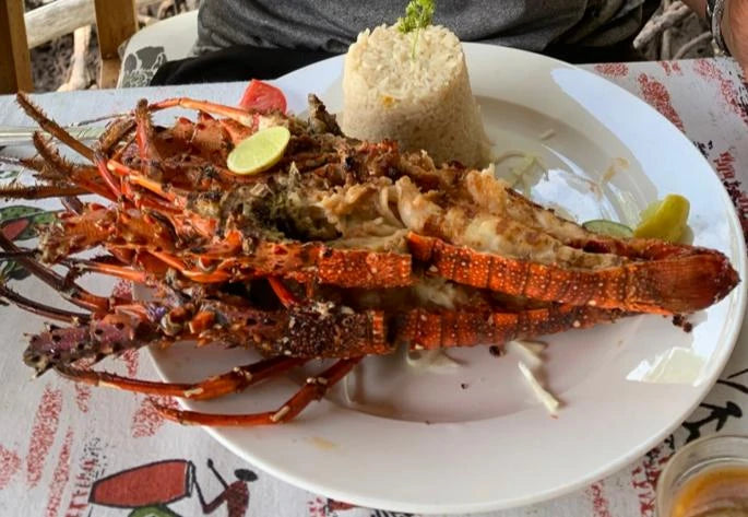 Crab Shack Dabaso, Mida Creek, Watamu Kenya