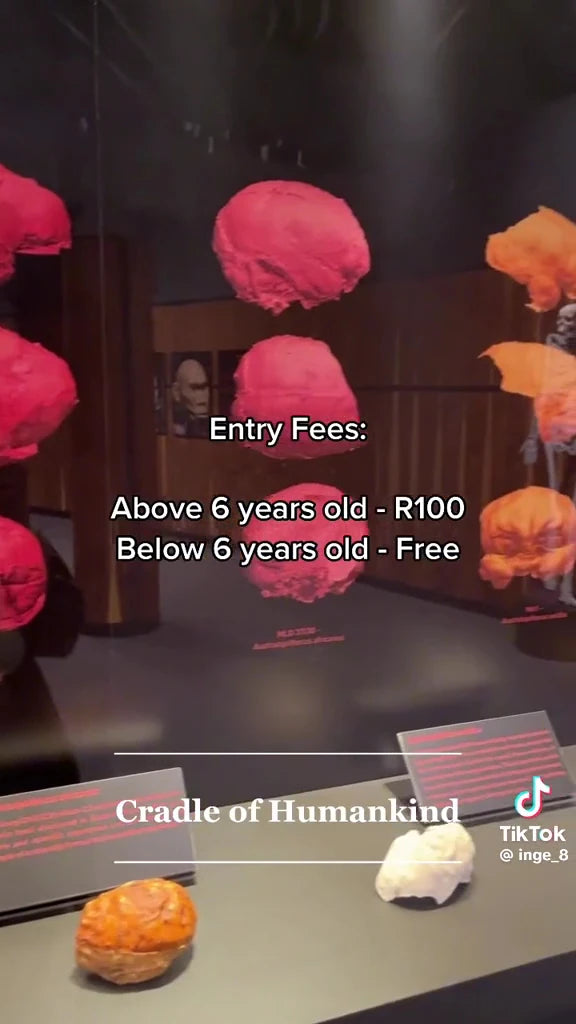 Cradle of Humankind,  South Africa