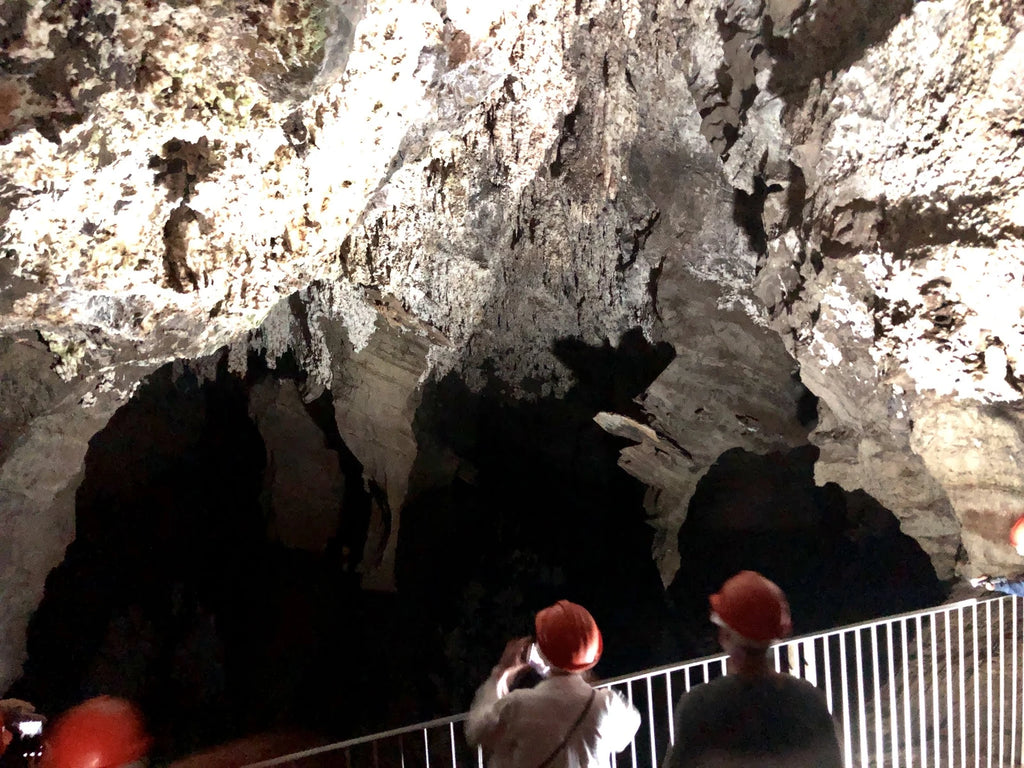 Cradle of Humankind,  South Africa