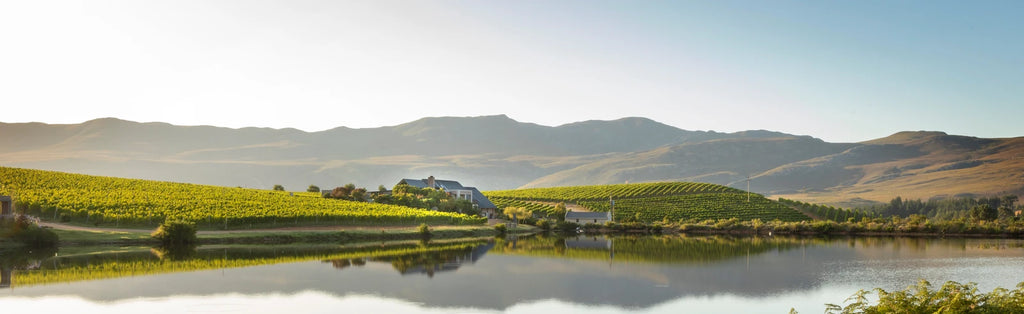 Creation Wines, Hermanus South Africa