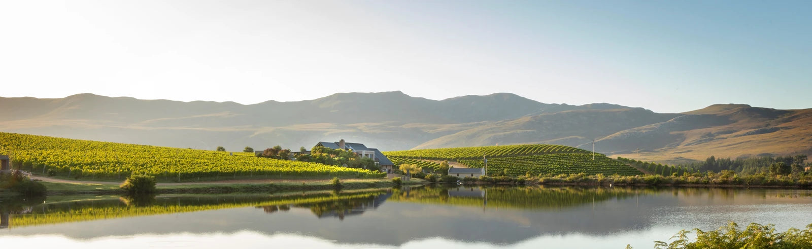 Creation Wines, Hermanus South Africa