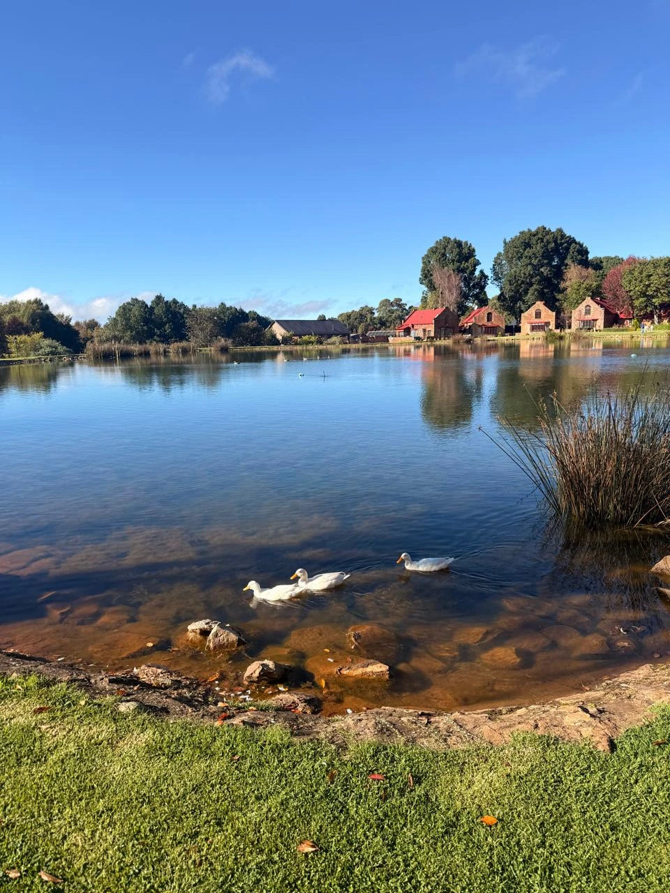 Critchley Hackle Lodge, Dullstroom South Africa