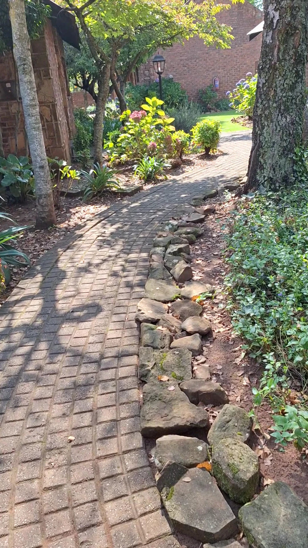 Critchley Hackle Lodge, Dullstroom South Africa