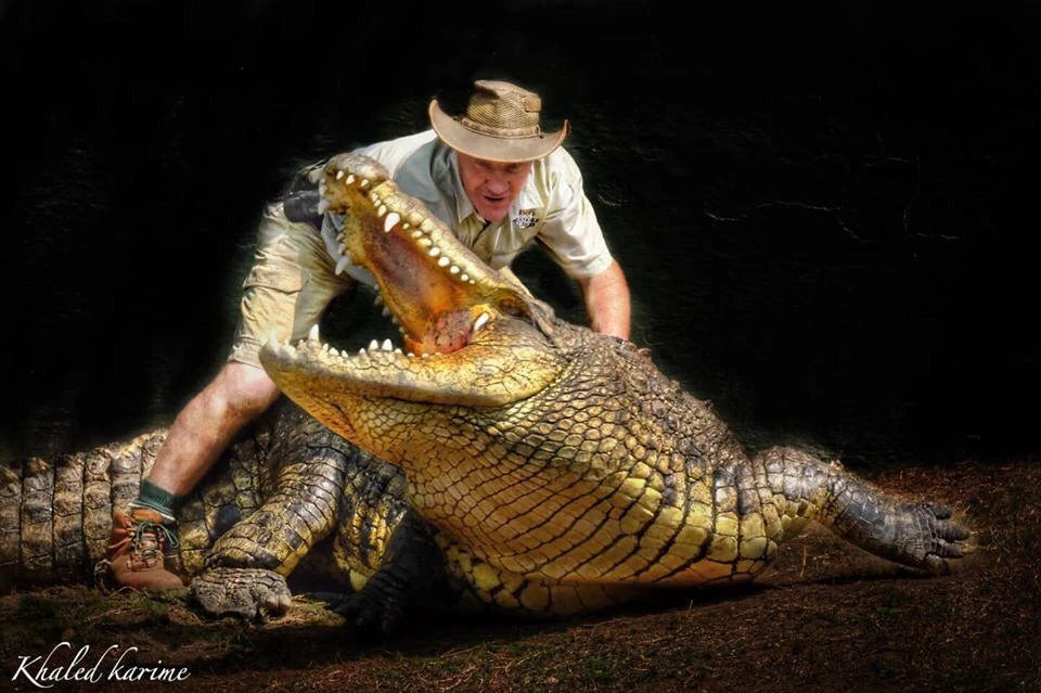 Crocodile Creek, oThongathi South Africa