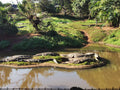 Crocworld, Scottburgh/Umzinto North South Africa