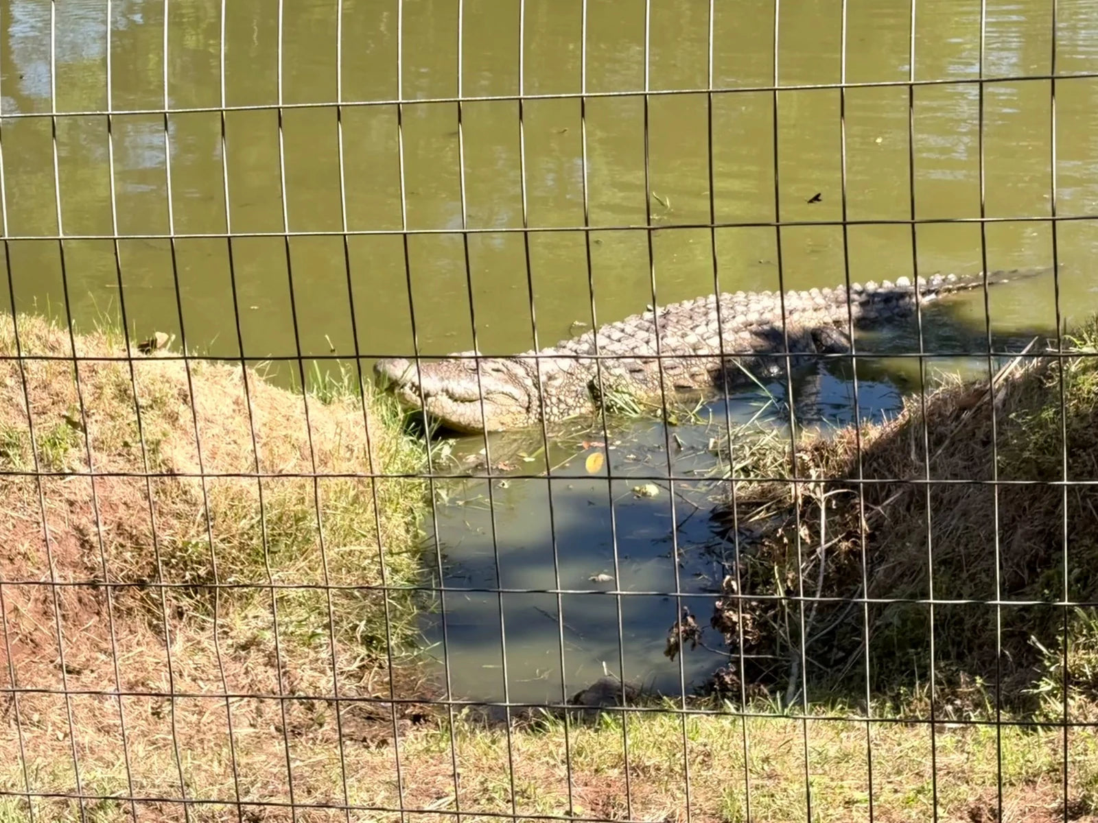 Crocworld, Scottburgh/Umzinto North South Africa