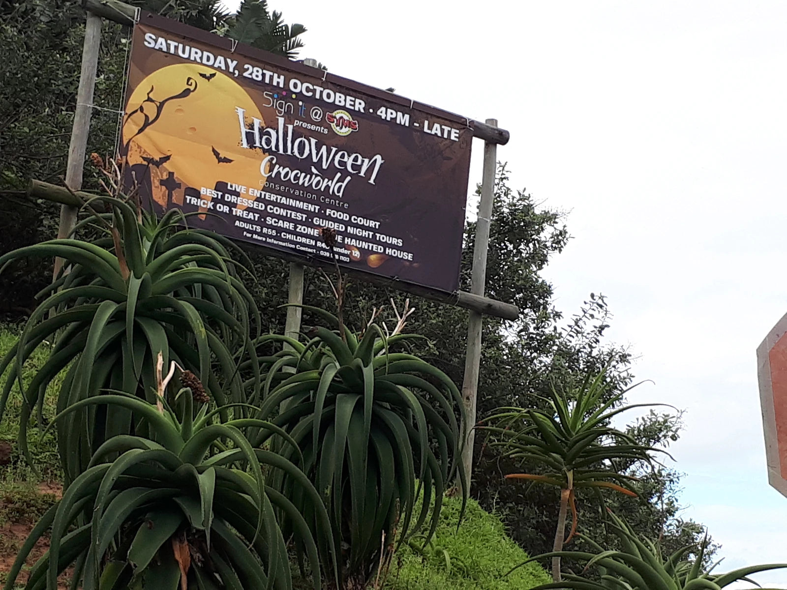Crocworld, Scottburgh/Umzinto North South Africa