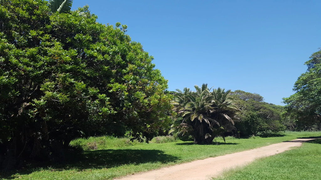 Crocworld, Scottburgh/Umzinto North South Africa