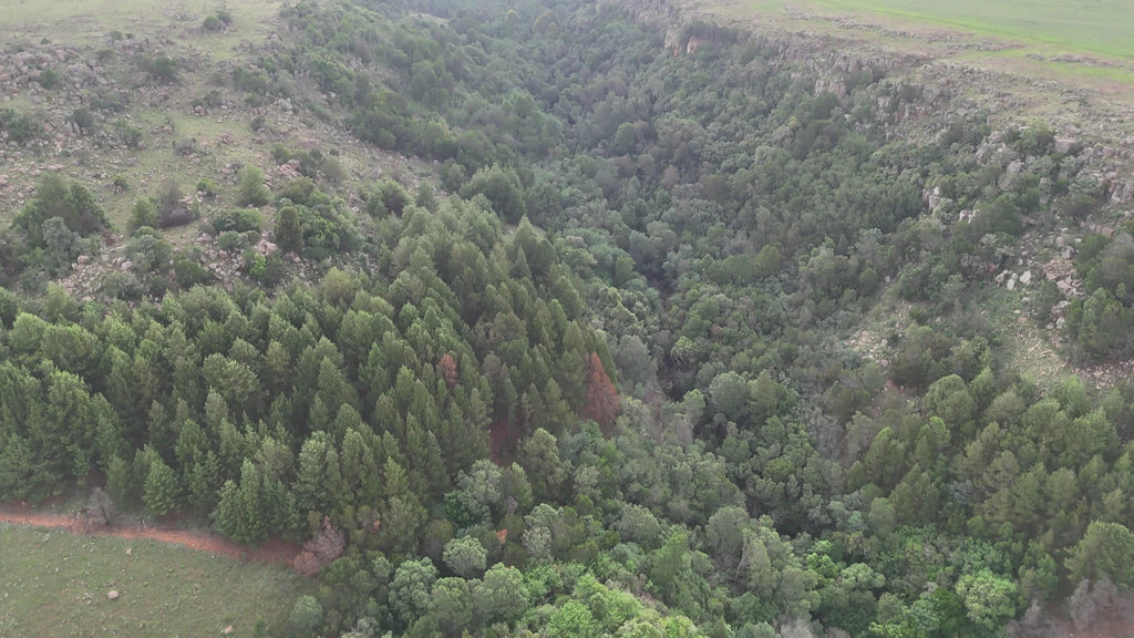 Crystal Springs Nature Reserve, Johannesburg South Africa