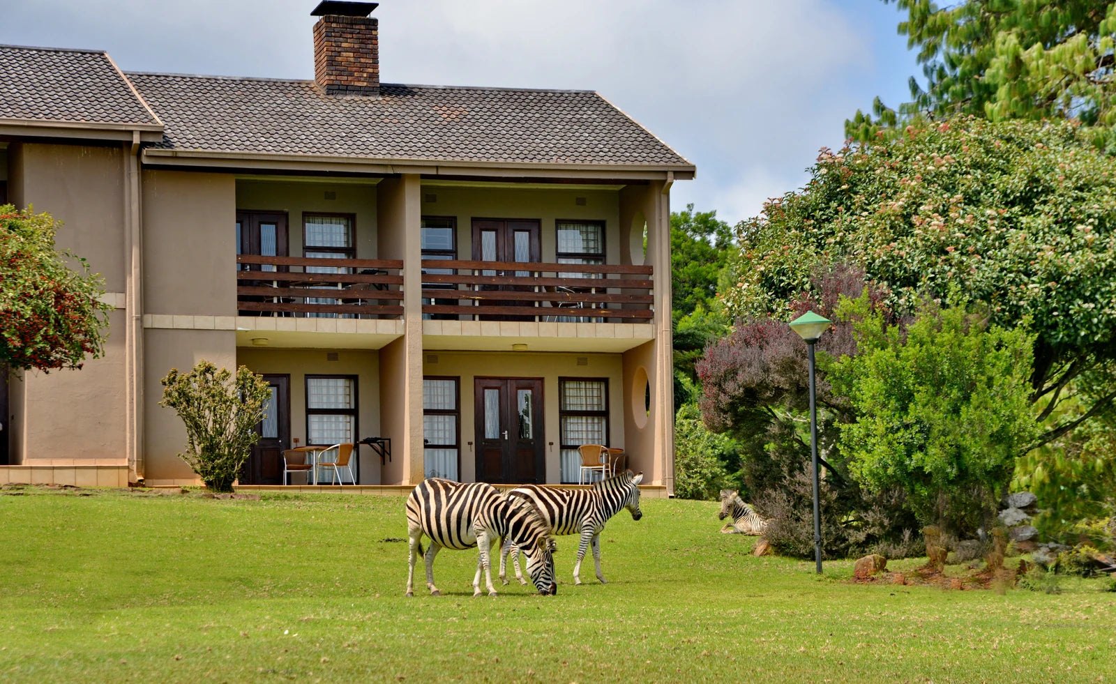 Crystal Springs Nature Reserve, Johannesburg South Africa