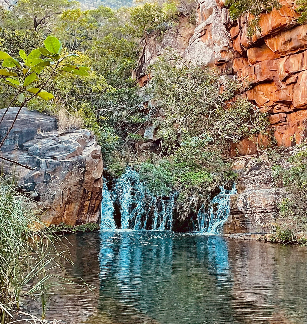 Crystal Springs Nature Reserve, Johannesburg South Africa