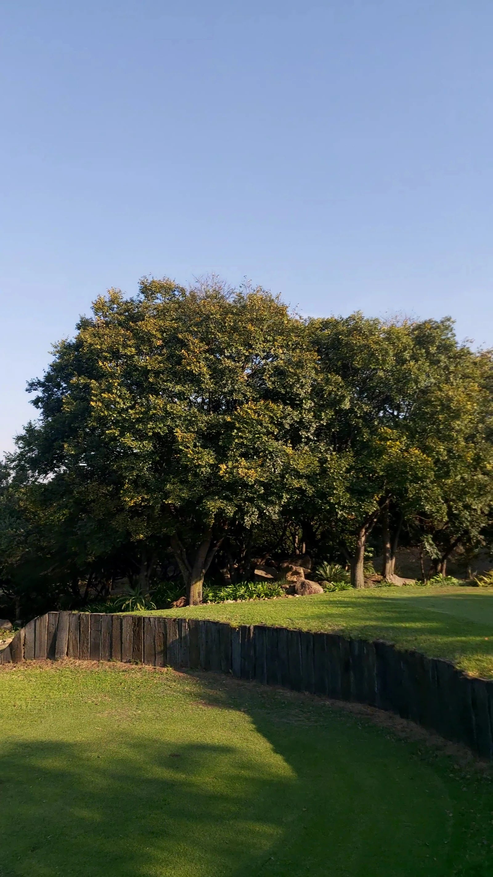 Dainfern Golf Estate, Midrand South Africa