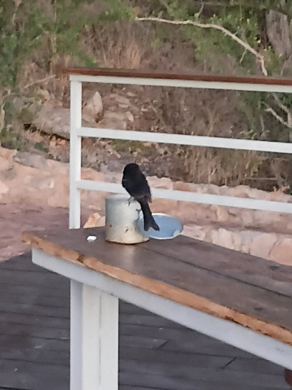 Damara Mopane Lodge, Gondwana Collection Namibia, Khorixas Namibia