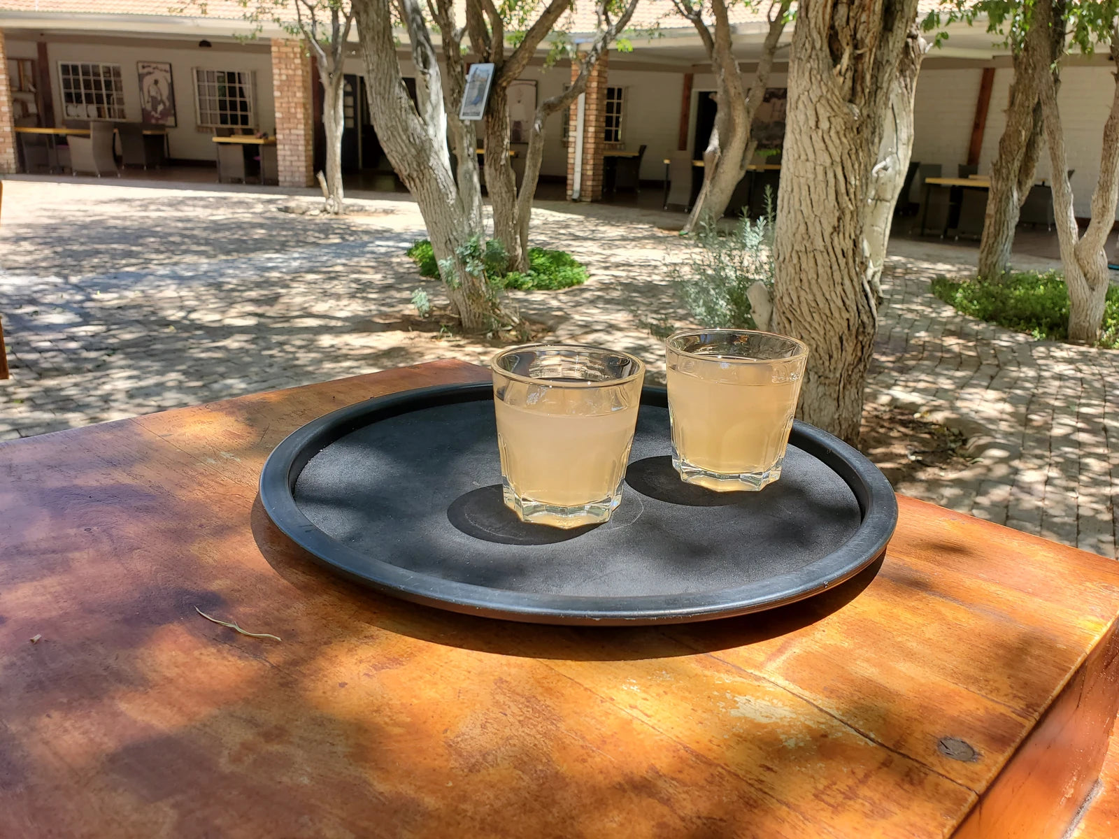 Damara Mopane Lodge, Gondwana Collection Namibia, Khorixas Namibia
