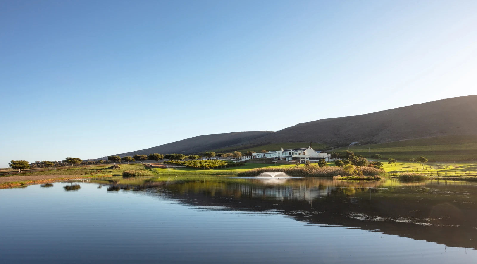 De Grendel Wine Estate and Restaurant, Cape Town South Africa